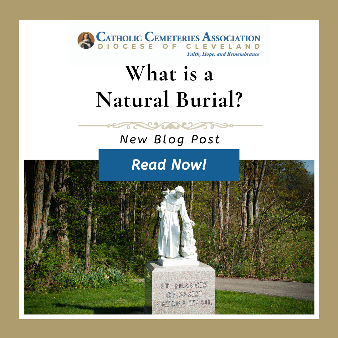 What is Natural Burial Blog